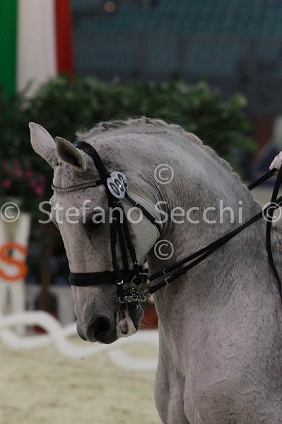 DUPERDU_PASSE PARTOUT_MILANO_2011_SS3_4889.jpg